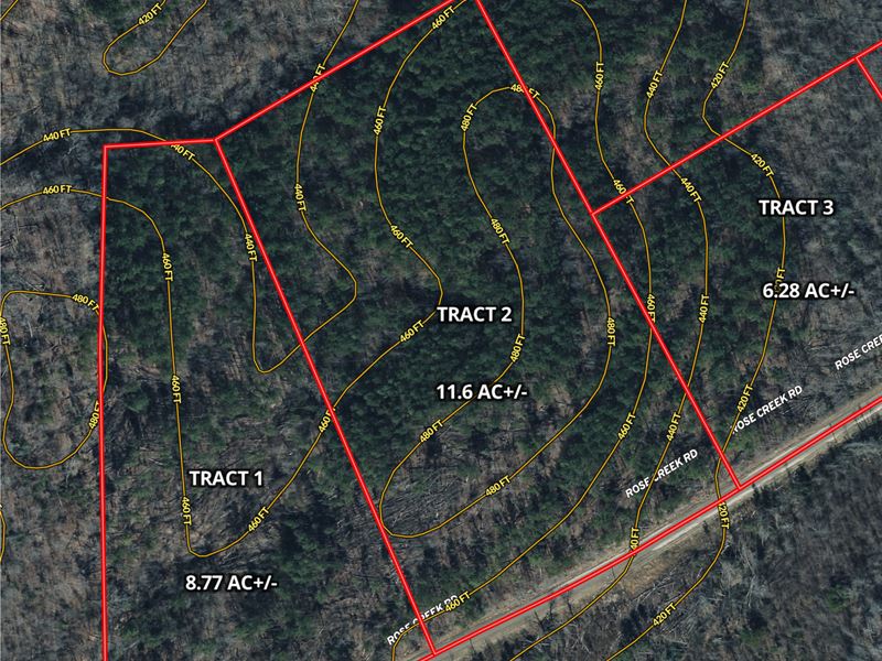 11.6Ac Wooded Land, No Restrictions : Selmer : McNairy County : Tennessee