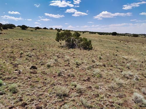 Private Retreat with Adjacent Lot : Horseshoe Bend : Izard County : Arkansas