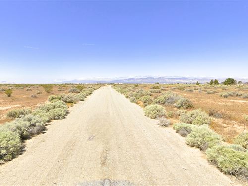 $151.34/Mo. Paved. Desert Views : California City : Kern County : California