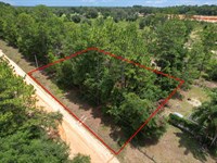 Nature Lover's Dream : Interlachen : Putnam County : Florida