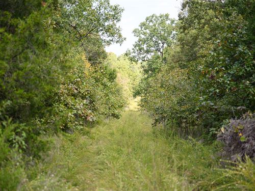 Privacy Comes Naturally Here, 0.29 : Horseshoe Bend : Izard County : Arkansas