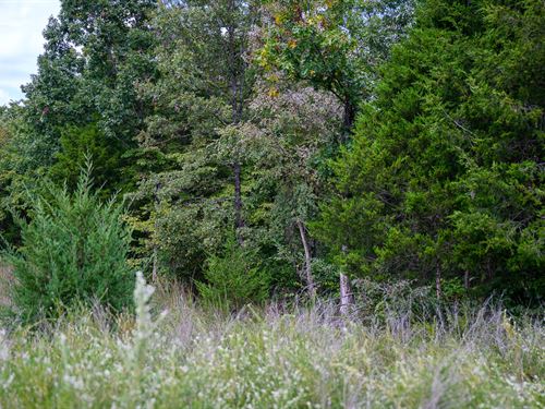 Freedom Starts with Your Own Land : Horseshoe Bend : Izard County : Arkansas