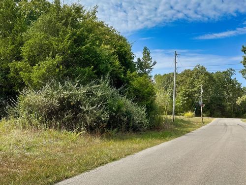 Trade Your Car for a Golf Cart : Horseshoe Bend : Izard County : Arkansas