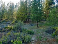 Adventure on This 2.5 Acre in OR : Bonanza : Klamath County : Oregon