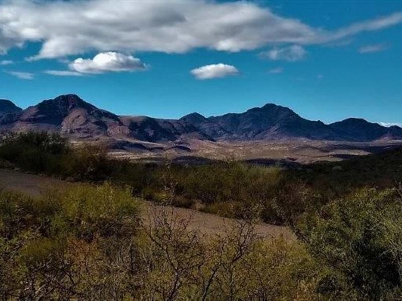 Boys, Bring Your Toys and Enjoy : Rio Rico : Santa Cruz County : Arizona