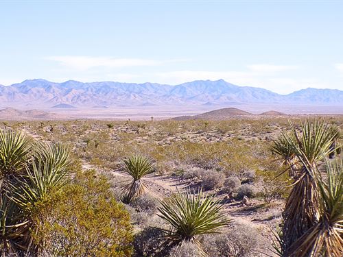 Retreat by Millions of Public Land : Dolan Springs : Mohave County : Arizona