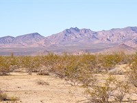 Smart Land Investment in Yucca, AZ : Yucca : Mohave County : Arizona