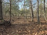 Flat 3/4 Acre Buildable Ozark Lot : Cherokee Village : Sharp County : Arkansas