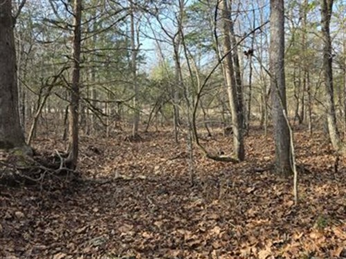 Flat 3/4 Acre Buildable Ozark Lot : Cherokee Village : Sharp County : Arkansas