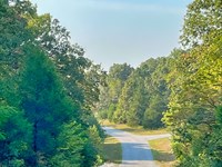 2 Blocks From Crown Lake Pier : Horseshoe Bend : Izard County : Arkansas