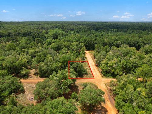 Your Florida Paradise Awaits : Interlachen : Putnam County : Florida