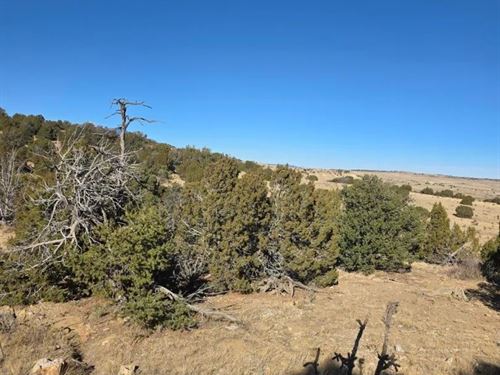 Salida Drive 489, Walsenburg : Walsenburg : Huerfano County : Colorado