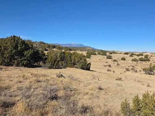 Salida Drive 491, Walsenburg : Walsenburg : Huerfano County : Colorado