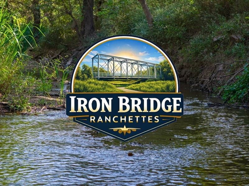 31 Acres, Providence Road, T-10 : Calvert : Robertson County : Texas