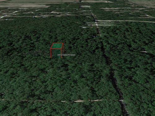 .23 Acre Buildable Lot, $150/Mo : Live Oak : Suwannee County : Florida