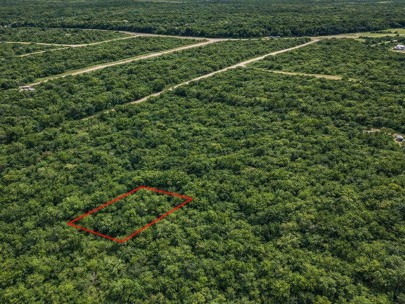 .23 Acre Buildable Lot, $150/Mo : Live Oak : Suwannee County : Florida