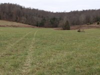 Kentucky Land For Sale : Horse Cave : Hart County : Kentucky