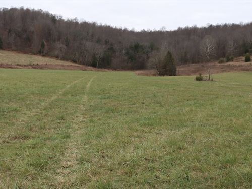 Kentucky Land For Sale : Horse Cave : Hart County : Kentucky