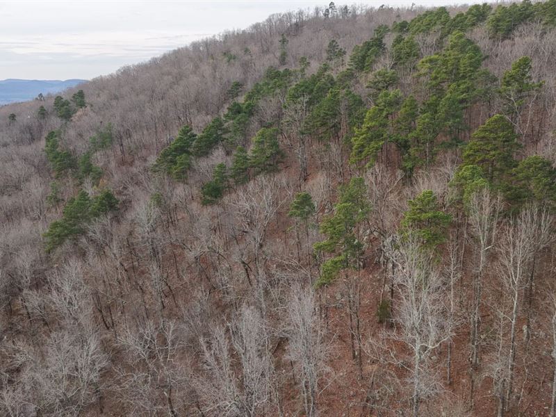 9.22 Acres in Polk County, AR : Mena : Polk County : Arkansas