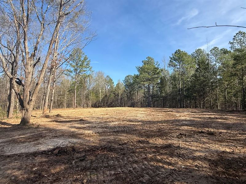 27.5 Acres in Pontotoc County, MS : Thaxton : Pontotoc County : Mississippi