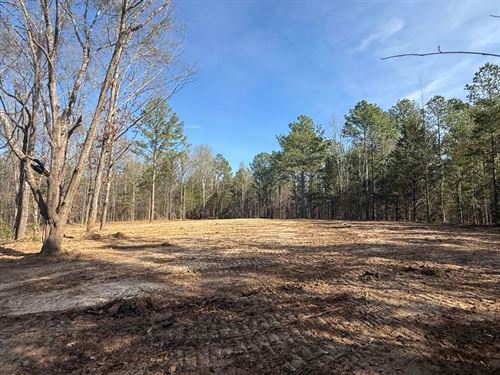 27.5 Acres in Pontotoc County, MS : Thaxton : Pontotoc County : Mississippi