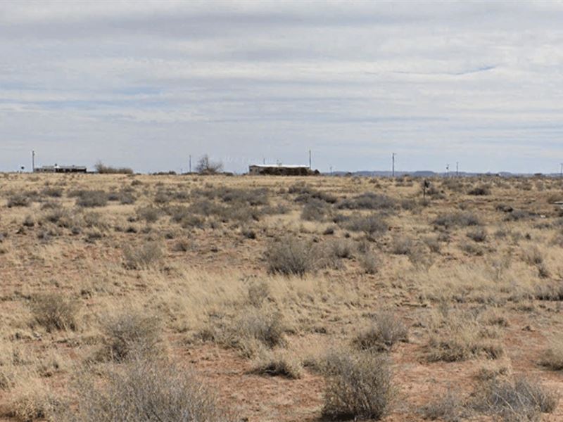 2.50 Acres Arizona Retirement Land : Sun Valley : Navajo County : Arizona
