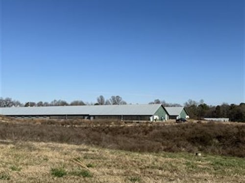 Broiler Farm in Franklin County : Toccoa : Franklin County : Georgia