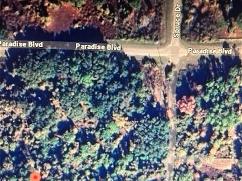 .23 Acre Vacant Lot in Georgetown : Georgetown : Putnam County : Florida