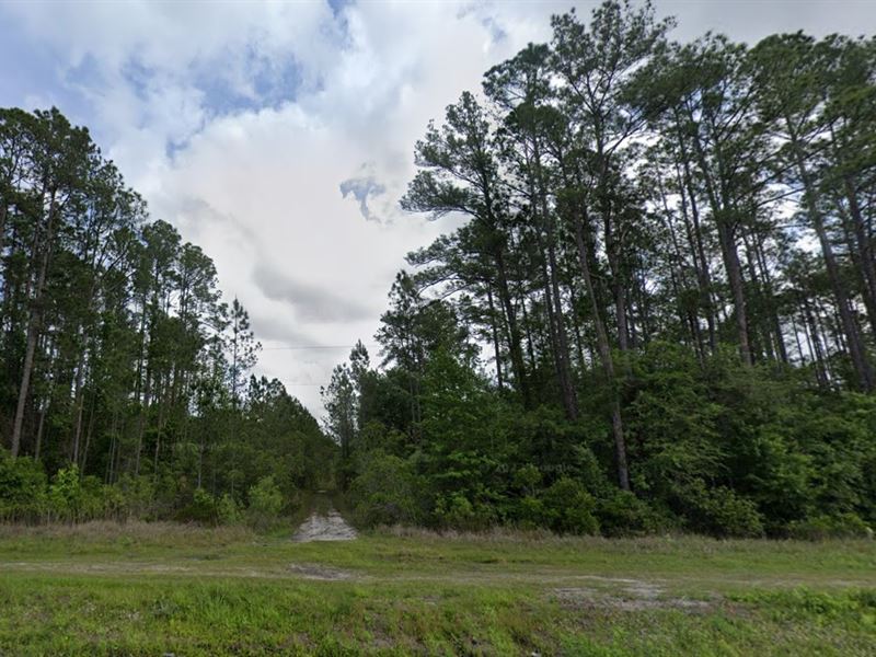 Sale, $149 Down Unlocks 1.25 Acres : Hastings : Flagler County : Florida