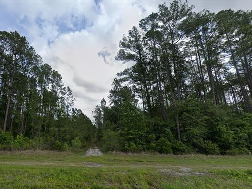 Sale, $149 Down Unlocks 1.25 Acres : Hastings : Flagler County : Florida