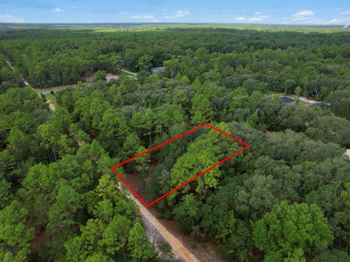 Homesite by The Lake : Satsuma : Putnam County : Florida