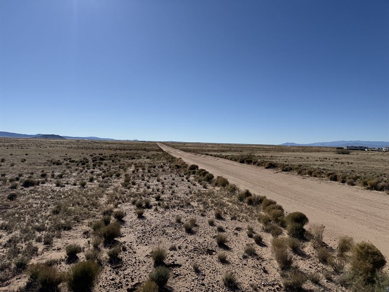 Quiet Desert Space : Veguita : Socorro County : New Mexico