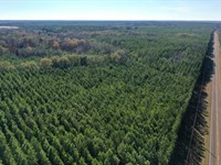 Boggy Branch Farm : Andersonville : Macon County : Georgia