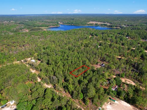 Build Your Dream Home by The Lake : Interlachen : Putnam County : Florida