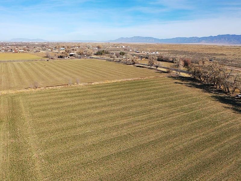 Casa Colorada Farm : Casa Colorada : Valencia County : New Mexico