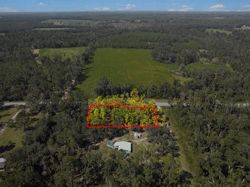Build-Flexible Residential Land : Jennings : Hamilton County : Florida
