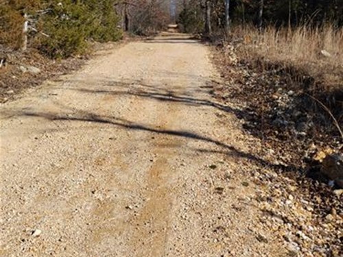 Camper-Friendly Land : Williford : Sharp County : Arkansas