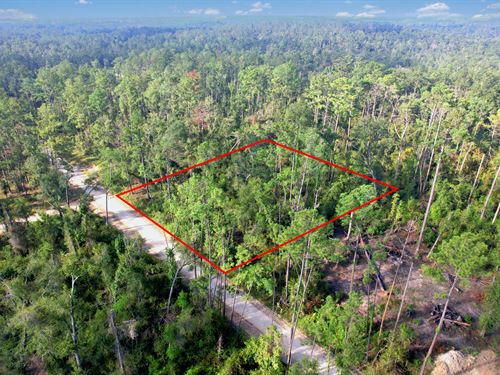 1/2 Acre Lot Just Off The Suwannee : Live Oak : Suwannee County : Florida