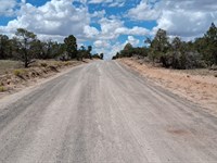 Build Your Dream Home : Saint Johns : Apache County : Arizona