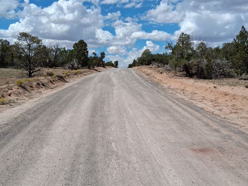 Build Your Dream Home : Saint Johns : Apache County : Arizona