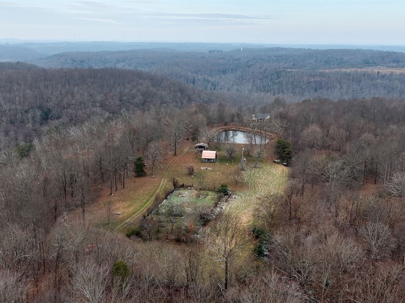 Land for Sale in Edmonson Co., KY : Mammoth Cave : Edmonson County : Kentucky