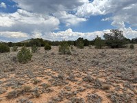 Off-Grid Desert Retreat : Ramah : Cibola County : New Mexico