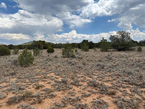 Off-Grid Desert Retreat : Ramah : Cibola County : New Mexico