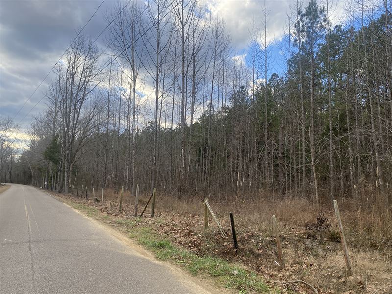 Wooded Land for Sale, Rolling Hills : Selmer : McNairy County : Tennessee