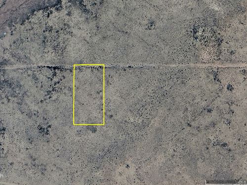 High Desert Homestead : Sun Valley : Navajo County : Arizona