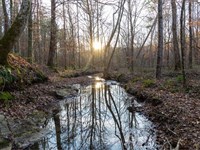 Multiple Beautiful Tracts Available : Red Bay : Franklin County : Alabama