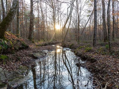 Multiple Beautiful Tracts Available : Red Bay : Franklin County : Alabama