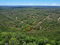 Peaceful Corner Lot : Interlachen : Putnam County : Florida