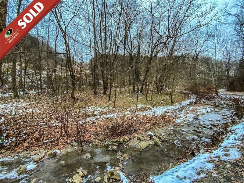 Trough Run, 51 Acres : Bellaire : Belmont County : Ohio