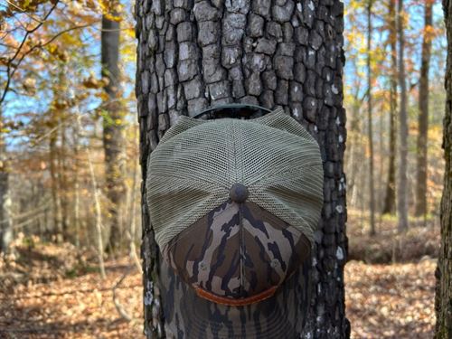 84 Acres in Yazoo County, MS : Bentonia : Yazoo County : Mississippi